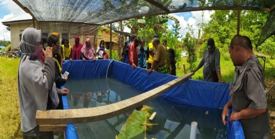 TIM PHP2D FST: Sosialisasi dan Penyuluhan Ikan Air Tawar Serta Pelepasan Bibit Ikan Lele di Kampung Klasmelek